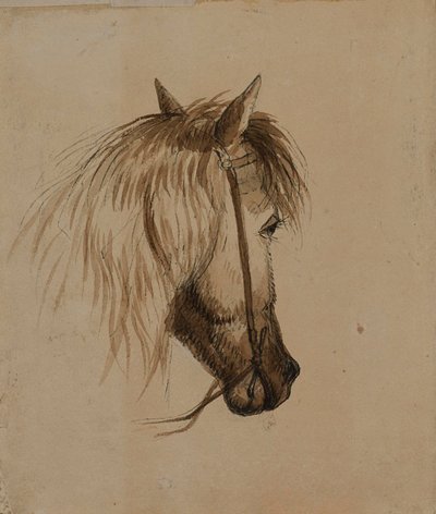 Head of a Horse by Alfred Jacob Miller
