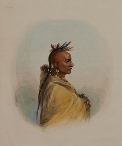 Head of a Sioux by Alfred Jacob Miller