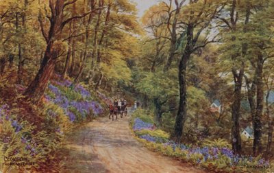 Hobby Drive, Clovelly by Alfred Robert Quinton