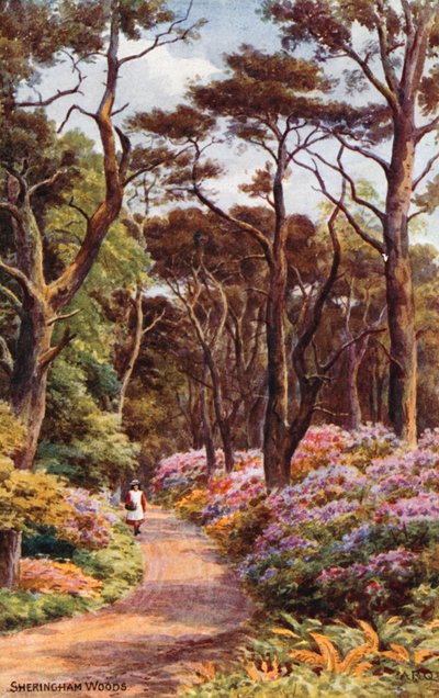 Sheringham Woods by Alfred Robert Quinton