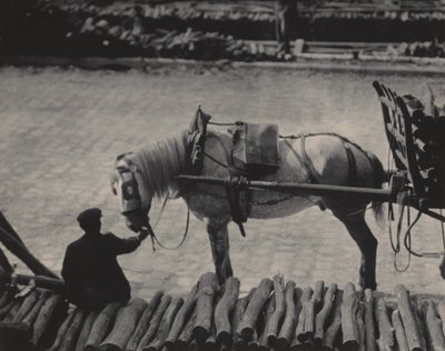 A Snapshot, Paris by Alfred Stieglitz