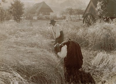 Early Morning by Alfred Stieglitz