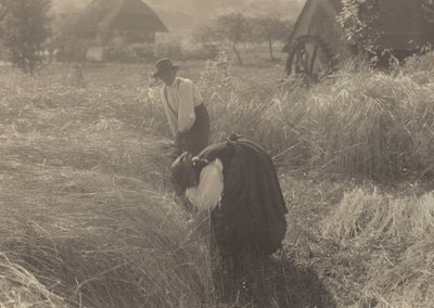 Early Morning by Alfred Stieglitz