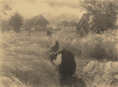 Early Morning by Alfred Stieglitz