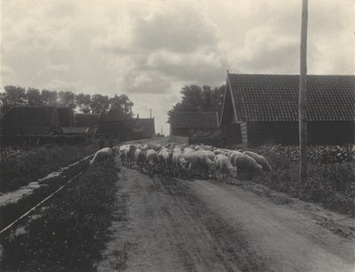 Going to Pasture by Alfred Stieglitz