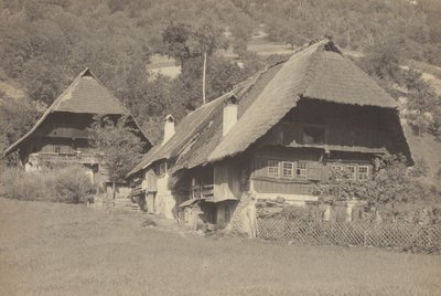 Gutach Houses by Alfred Stieglitz