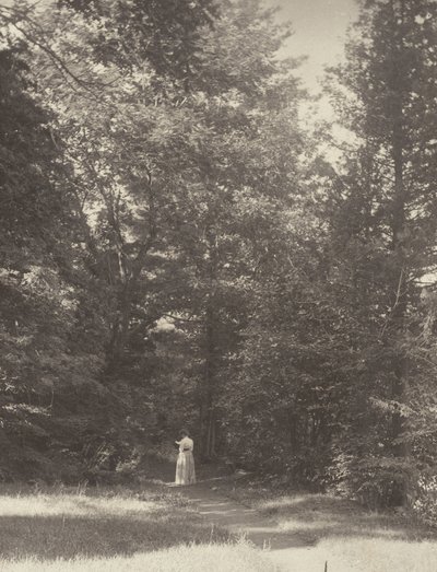 "Hedwigsweg" II, Lake George by Alfred Stieglitz
