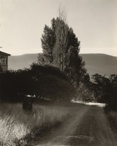 House and Poplars, Lake George by Alfred Stieglitz