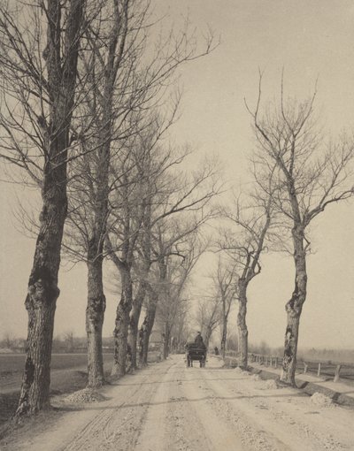 November Days by Alfred Stieglitz