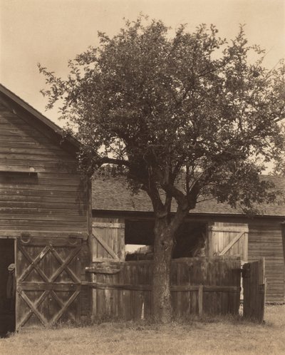 The Barn by Alfred Stieglitz