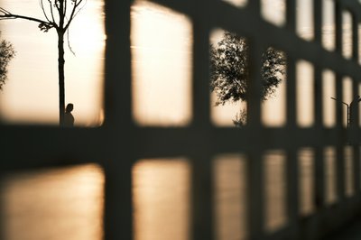 Golden Hour Silhouette by Ali Ayer