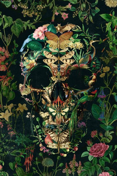 Dark Nature Skull by Ali Gulec