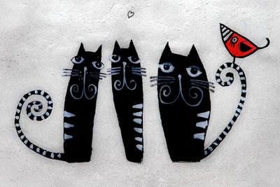 3 cats from Krakow by Alice Gur-Arie