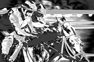 Saratogoa Trials, 2015 by Alice Gur-Arie