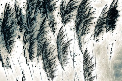 Wind from the West, 2016 by Alice Gur-Arie