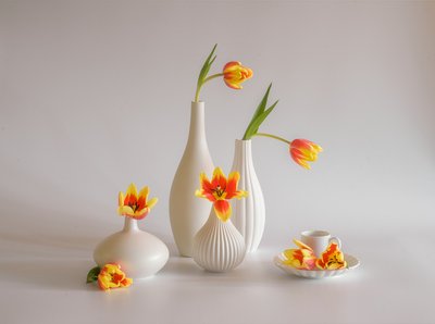 Bright Tulip Still Life by Alice Sheng