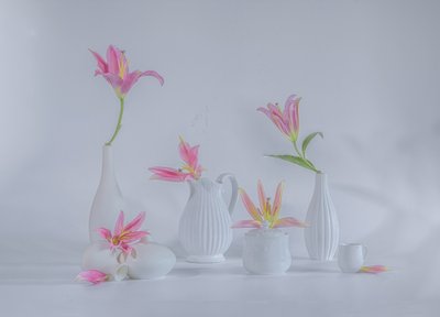 Delicate Pink Lilies by Alice Sheng
