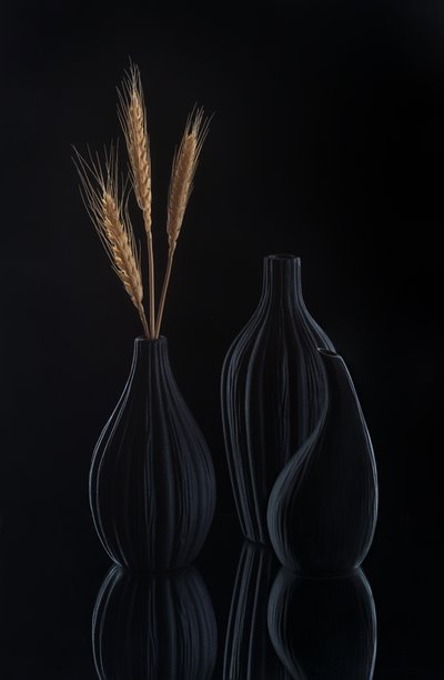 Elegant Dark Still Life by Alice Sheng