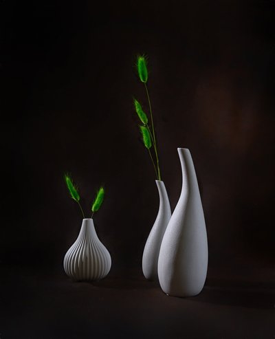 Elegant Vases Greenery by Alice Sheng