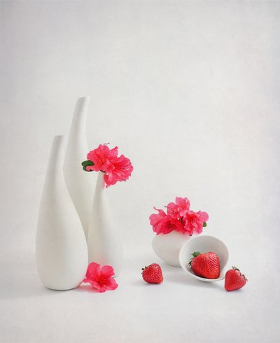 Fresh Strawberries Pink Flowers by Alice Sheng