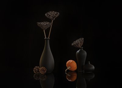 Moody Autumn Still Life by Alice Sheng