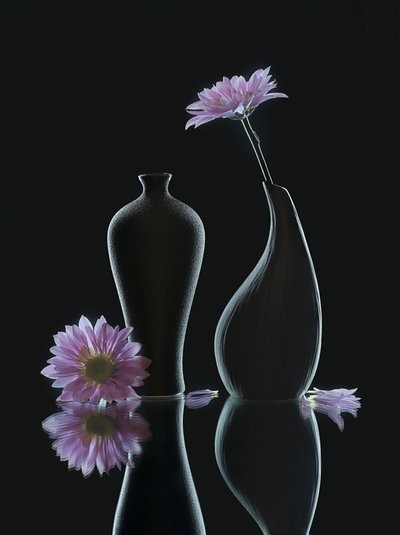 Serene Floral Reflections by Alice Sheng