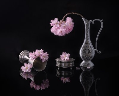 Silver And Sakura by Alice Sheng