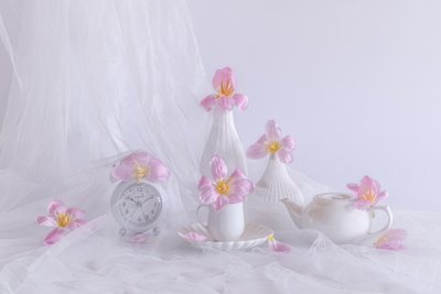 Soft Pink Tulips by Alice Sheng