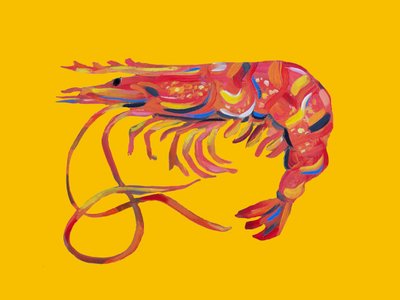 Vibrant Red Shrimp by Alice Straker