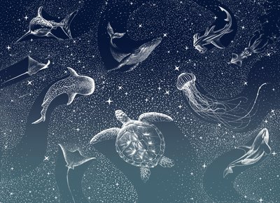 Celestial Marine Life by Alirıza ÇAKIR