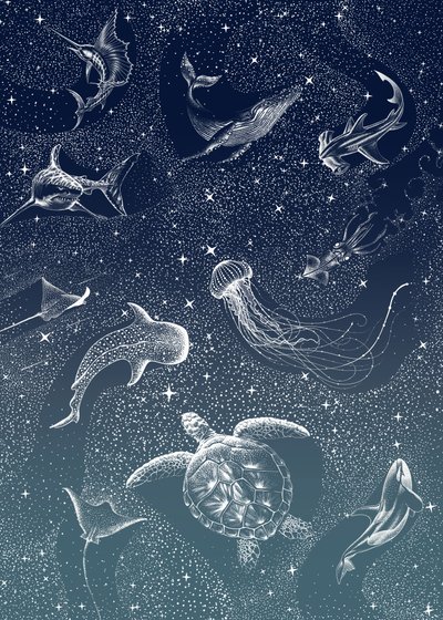 Cosmic Ocean Animals by Alirıza ÇAKIR