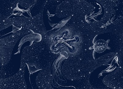 Cosmic Ocean Dream by Alirıza ÇAKIR