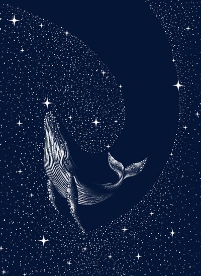 Cosmic Whale Dream by Alirıza ÇAKIR