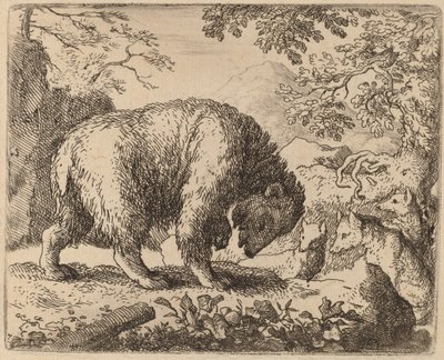 The Bear Distracted with Talk of Honey by Allart van Everdingen