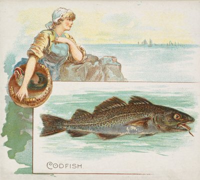 Codfish, from Fish from American Waters Series N39 for Allen & Ginter Cigarettes by Allen and Ginter
