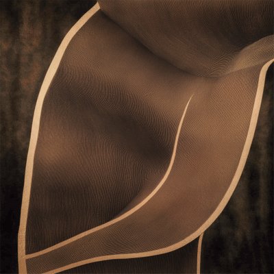 Brown Flowing Curves by Alma