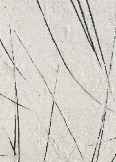 Organic Lines Texture by Alma