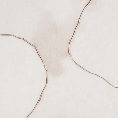 Soft Fluid Forms by Alma