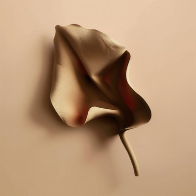 Soft Organic Shape by Alma