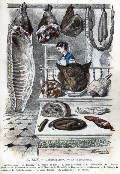View of a cold cuts A half pork (a ham b aloyau c sides and breast) B fresh ham C smoked ham D sausages and cerevelas F hure G mortadelle de bologna H ham I pig cheese K pig feet L tongue stuffed M andouillette N boudin) (delicatessen, traditional french p by Alphonse Demarle