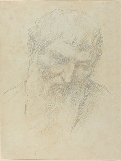 Head of a Man with Curly Hair and Beard by Alphonse Legros