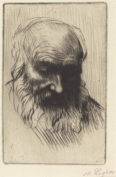 Head of an Old Man by Alphonse Legros