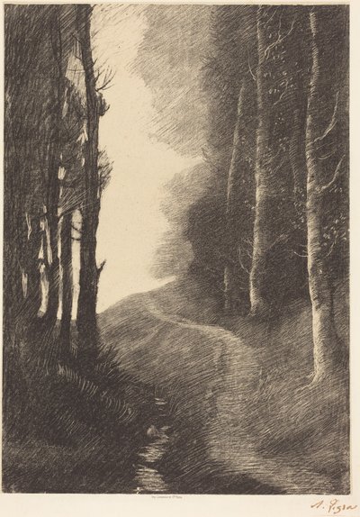 Landscape with Birch Trees by Alphonse Legros