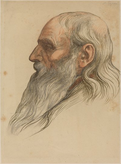 Study of a Man