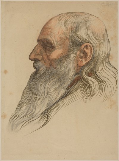 Study of a Man