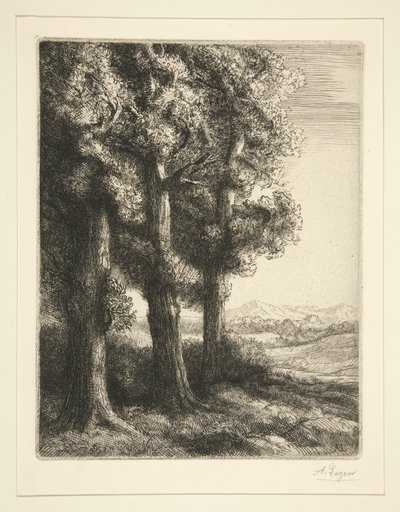 Three Trees by Alphonse Legros