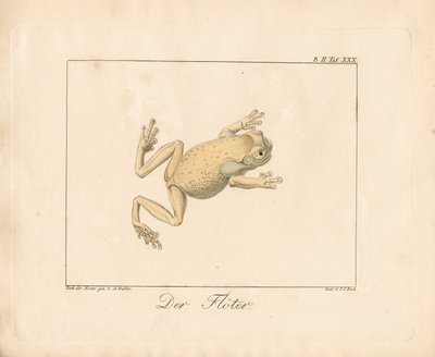 The Piper by Ambrosius Gabler