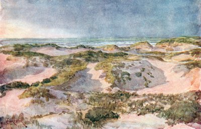A Stormy Evening: The Dunes by Amedee (after) Forestier