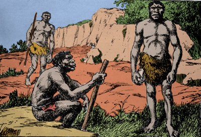 Prehistory: representation of Homo rhodesiensis or man of Broken hill, ancestor of Homo sapiens, whose fossils were discovered in Rhodesia (present-day Zambia in Africa). Drawing by A. Forestier by Amedee Forestier