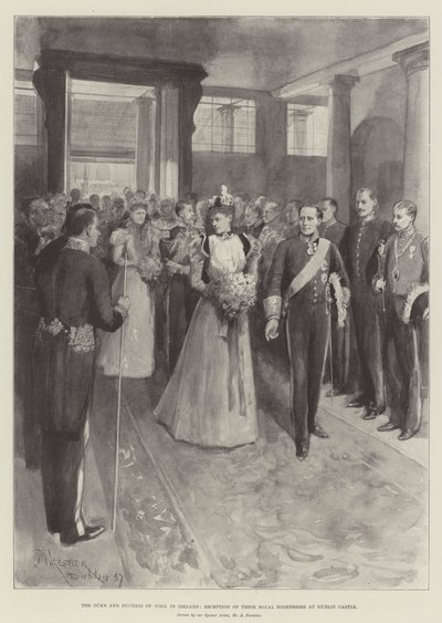The Duke and Duchess of York in Ireland, Reception of Their Royal Highnesses at Dublin Castle by Amedee Forestier